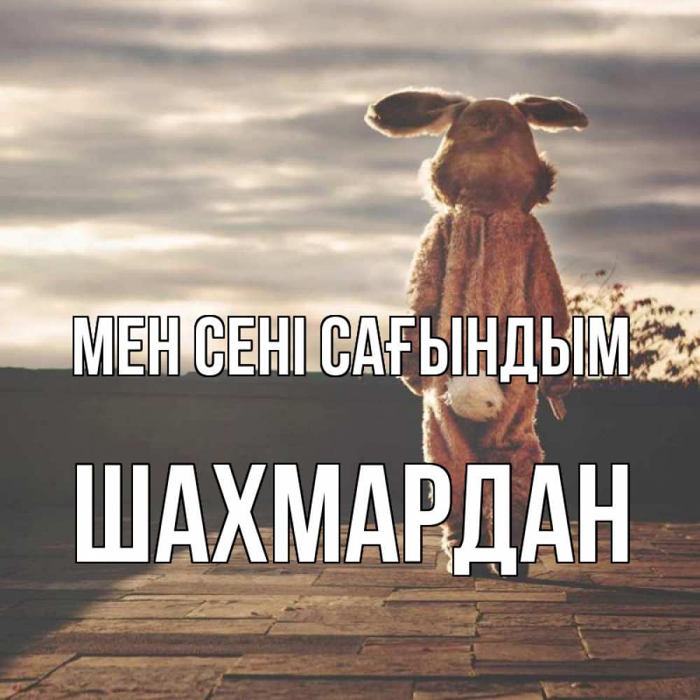 Күн сайын ашық хат с именем, ШАХМАРДАН Мен сені сағындым даже в костюме зайца Онлайн тегін жүктеп алу тілектері бар керемет карта 