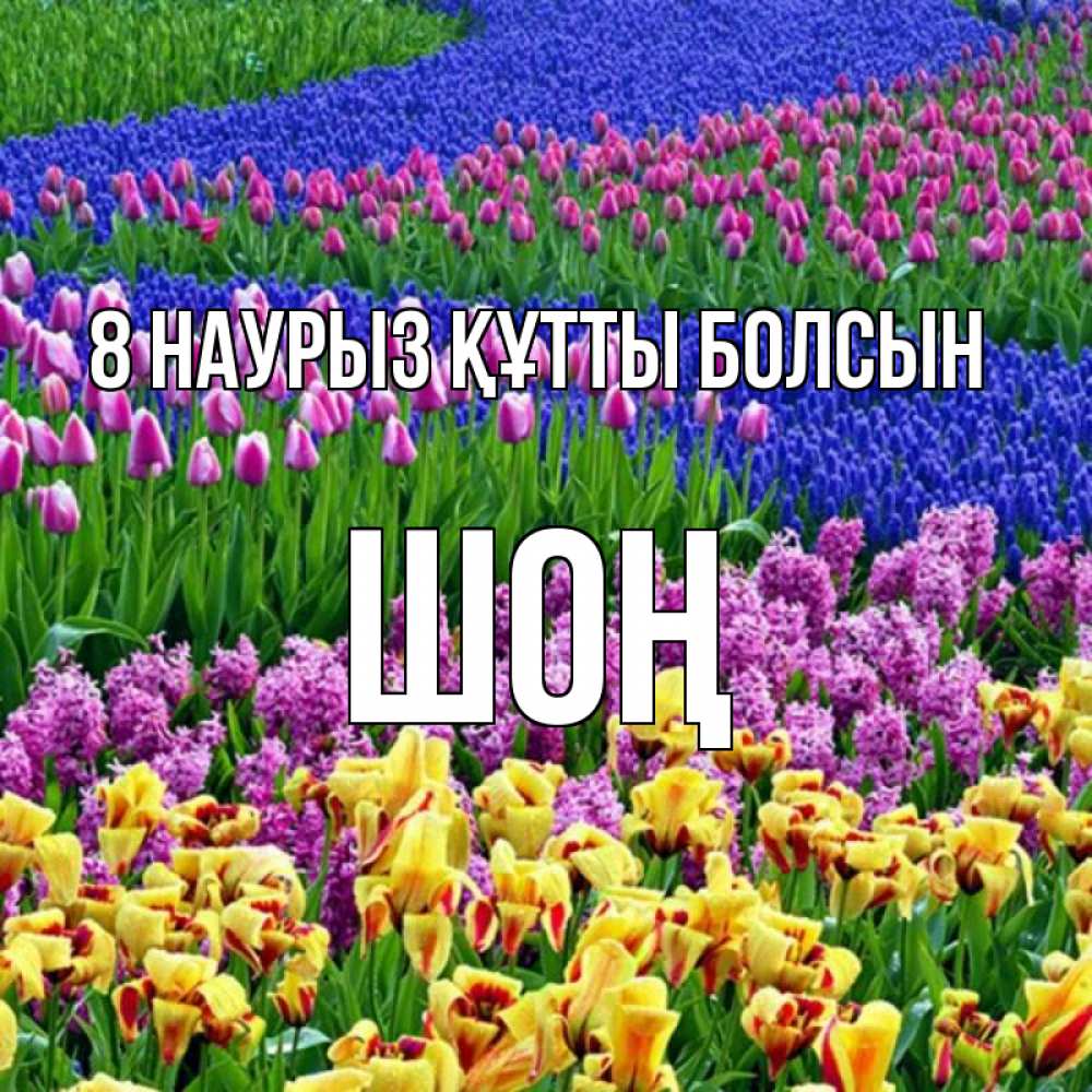 Күн сайын ашық хат с именем, ШОҢ 8 наурыз құтты болсын цветы Онлайн тегін жүктеп алу тілектері бар керемет карта 