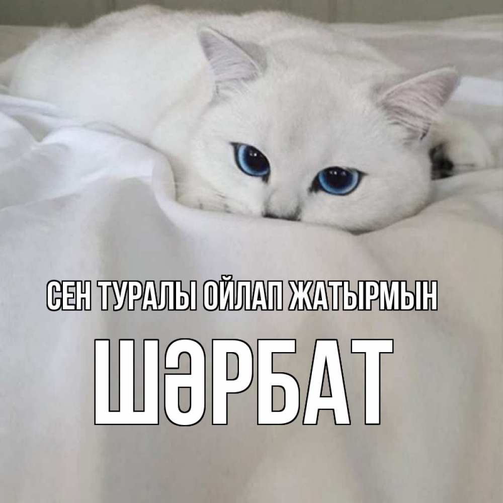 Күн сайын ашық хат с именем, ШӘРБАТ Сен туралы ойлап жатырмын я очень по тебе скучаю и тоскую Онлайн тегін жүктеп алу тілектері бар керемет карта 