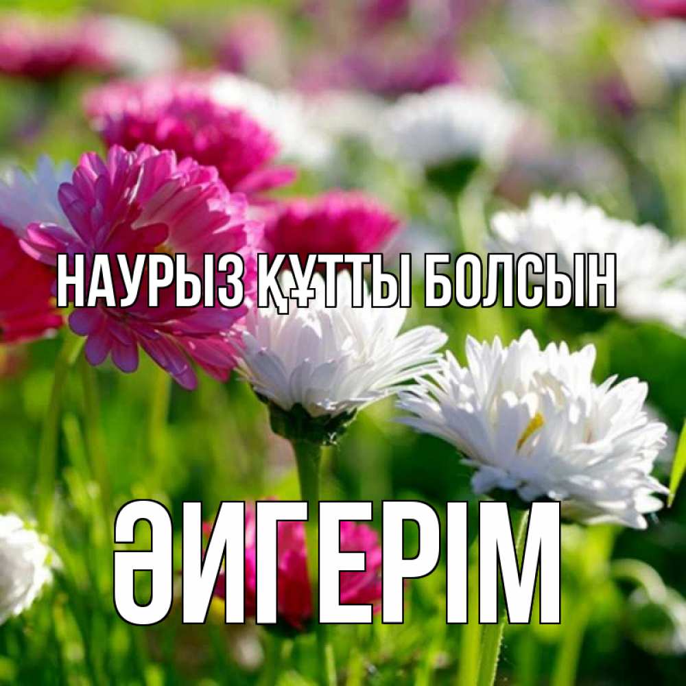 Күн сайын ашық хат с именем, ӘИГЕРІМ Наурыз құтты болсын наурыз Онлайн тегін жүктеп алу тілектері бар керемет карта 