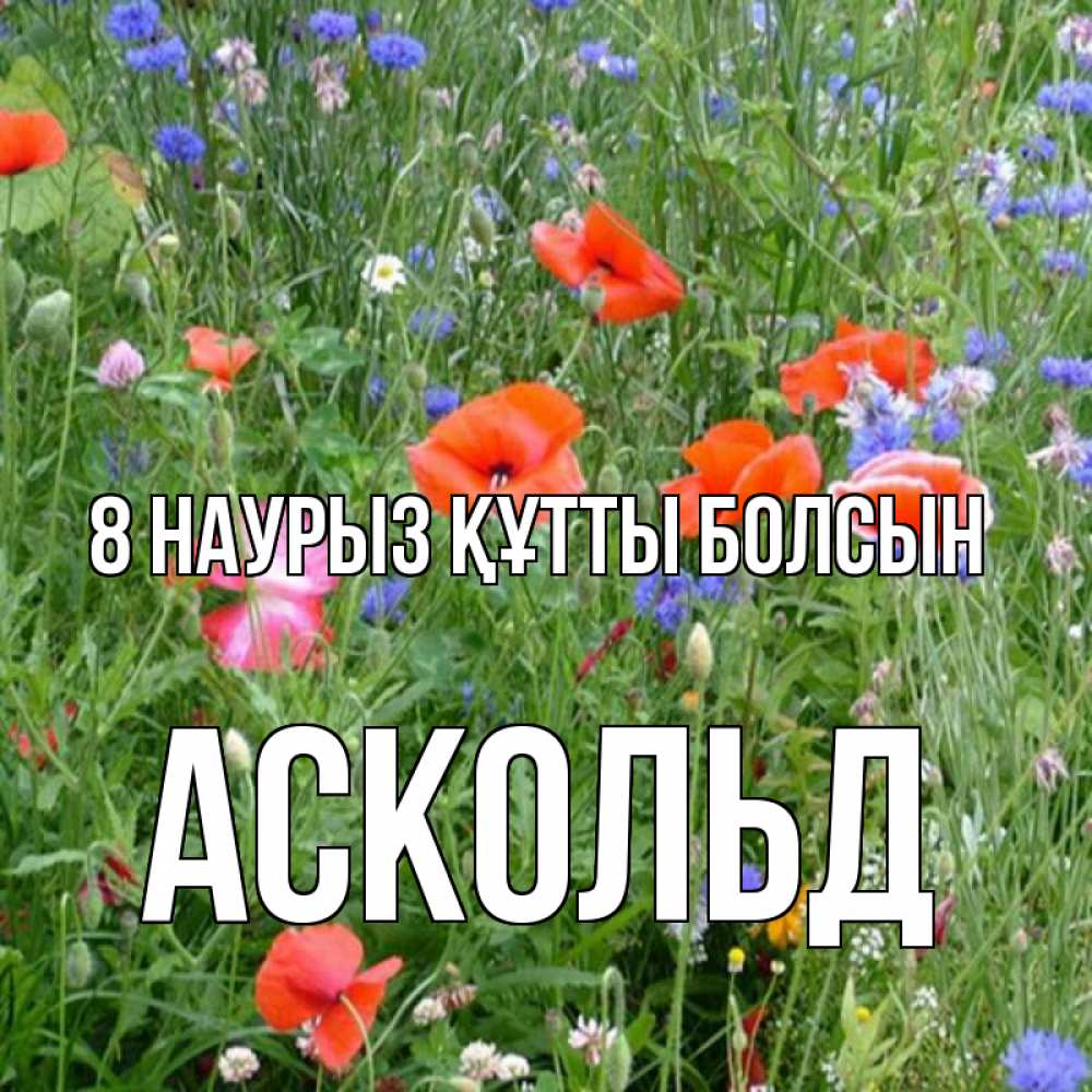 Күн сайын ашық хат с именем, Аскольд 8 наурыз құтты болсын международный женский день 4 Онлайн тегін жүктеп алу тілектері бар керемет карта 