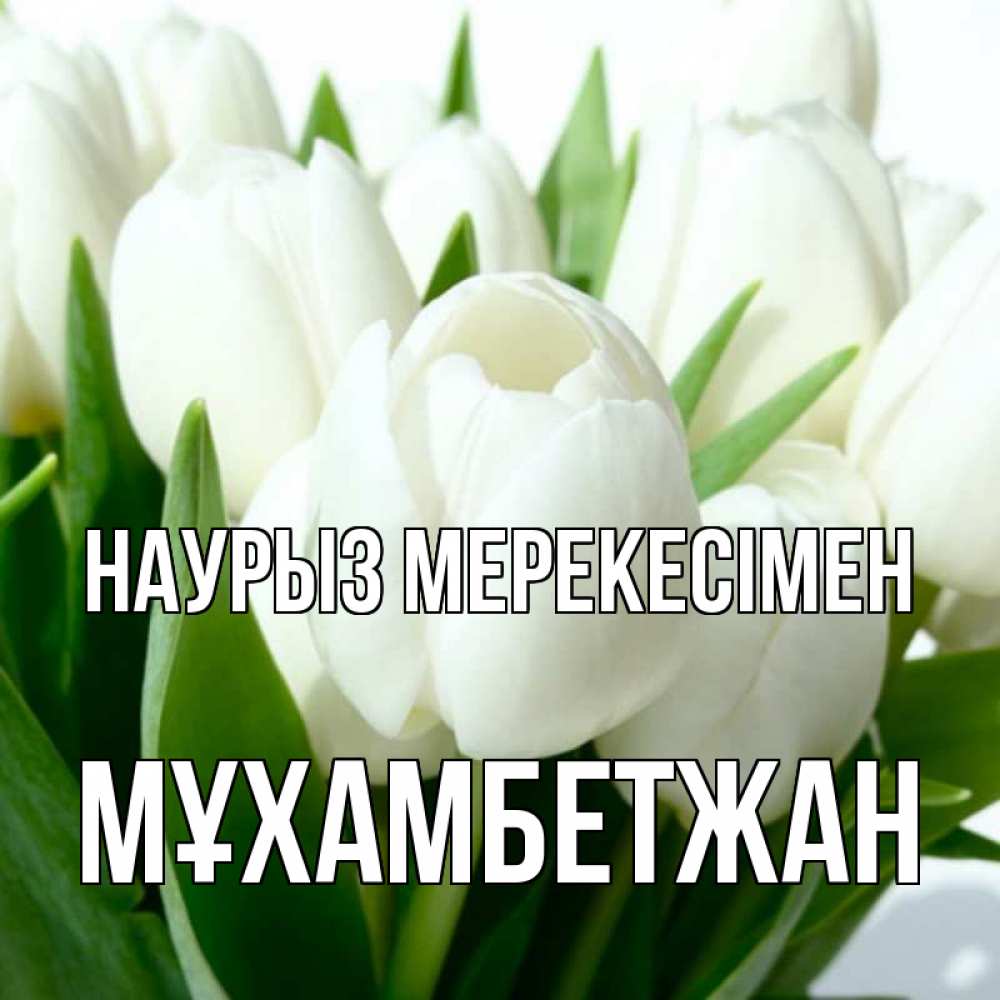 Күн сайын ашық хат с именем, МҰХАМБЕТЖАН Наурыз мерекесімен цветы Онлайн тегін жүктеп алу тілектері бар керемет карта 