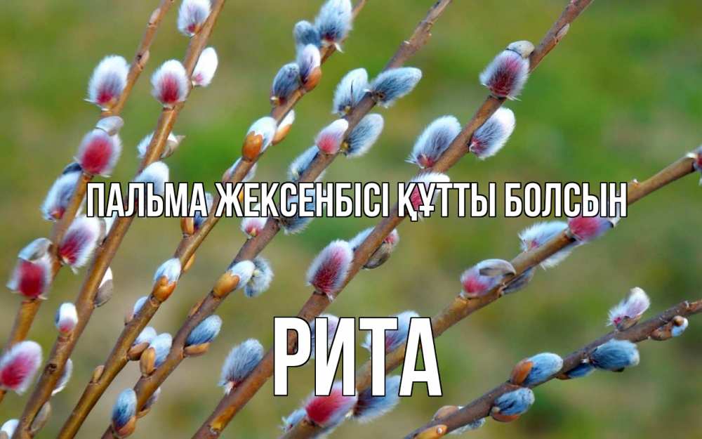 Картинка Пальма жексенбісі құтты болсын, Рита