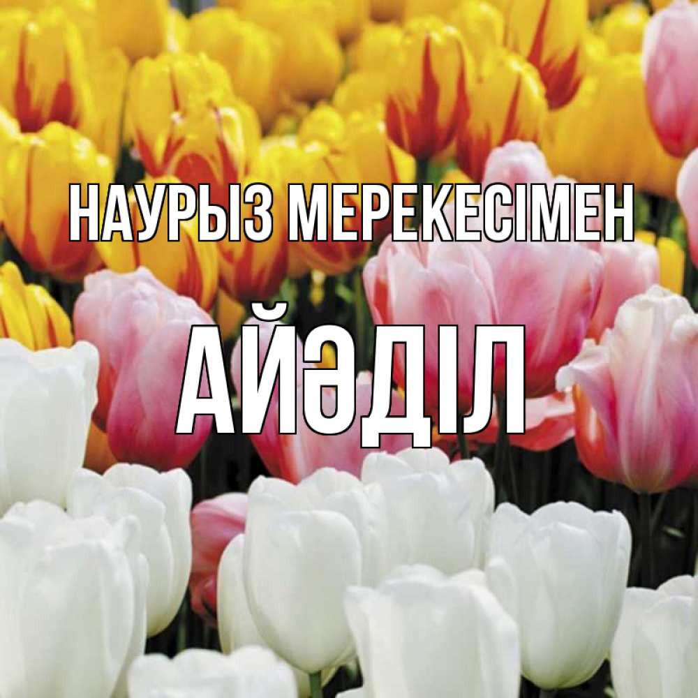 Күн сайын ашық хат с именем, Айәділ Наурыз мерекесімен разноцветные цветы Онлайн тегін жүктеп алу тілектері бар керемет карта 
