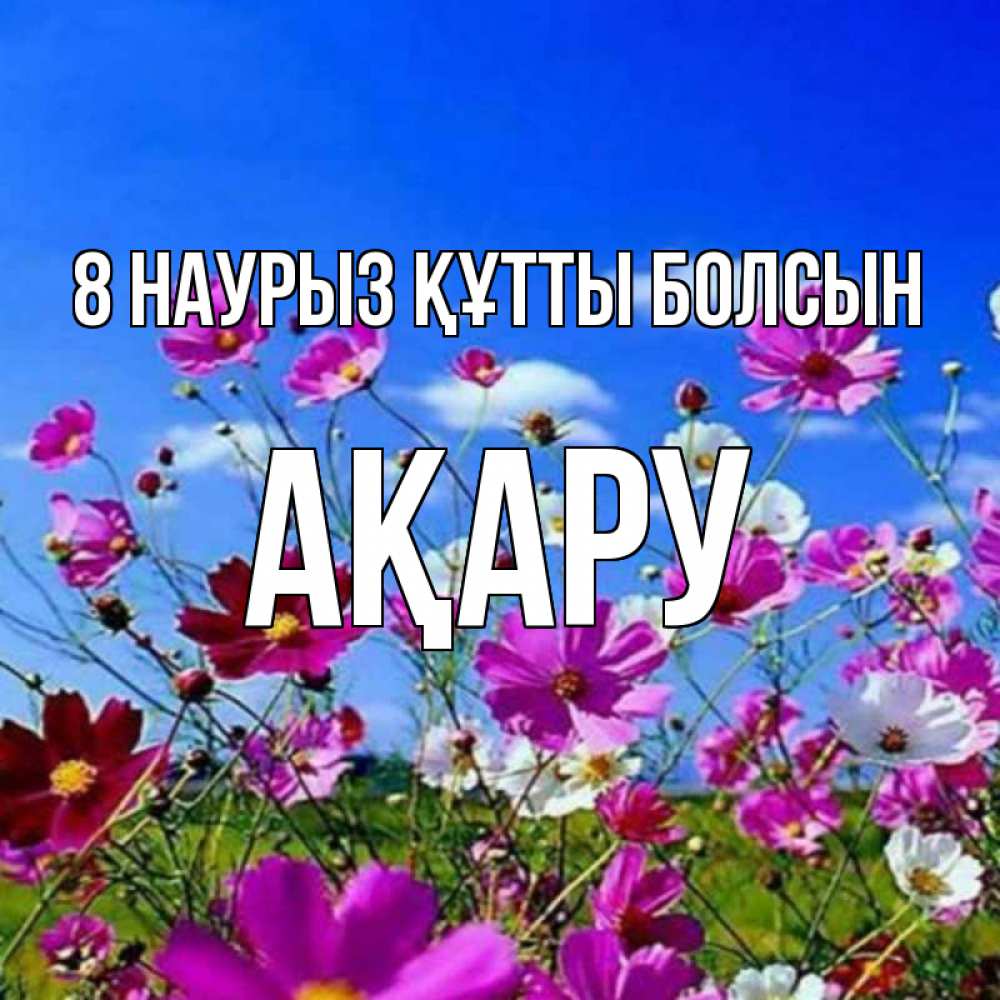 Күн сайын ашық хат с именем, АҚАРУ 8 наурыз құтты болсын цветы Онлайн тегін жүктеп алу тілектері бар керемет карта 