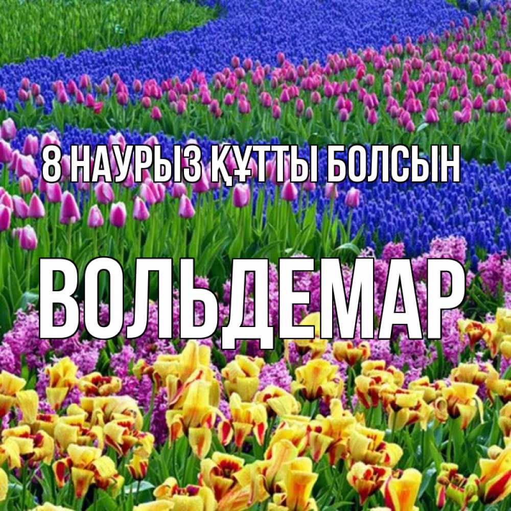 Күн сайын ашық хат с именем, Вольдемар 8 наурыз құтты болсын цветы Онлайн тегін жүктеп алу тілектері бар керемет карта 