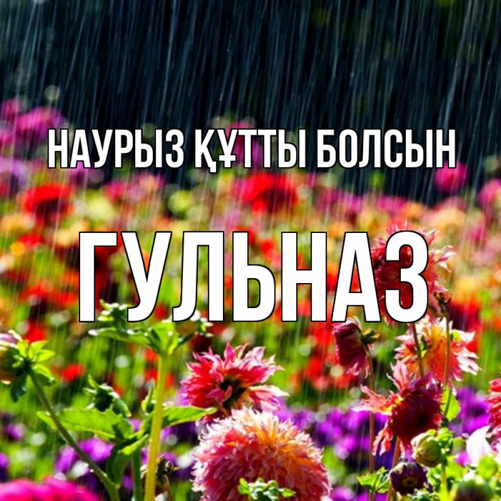 Күн сайын ашық хат с именем, Гульназ Наурыз құтты болсын цветы под дождиком к наурызу Онлайн тегін жүктеп алу тілектері бар керемет карта 
