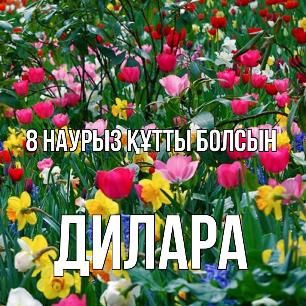 Күн сайын ашық хат с именем, Дилара 8 наурыз құтты болсын с международным женским днем поздравления для женщины Онлайн тегін жүктеп алу тілектері бар керемет карта 