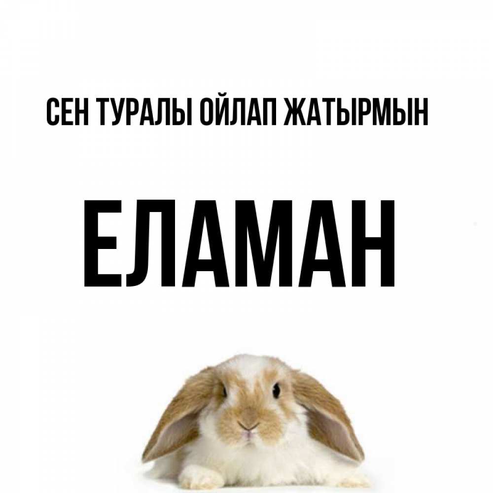 Күн сайын ашық хат с именем, Еламан Сен туралы ойлап жатырмын подписать своими руками онлайн Онлайн тегін жүктеп алу тілектері бар керемет карта 