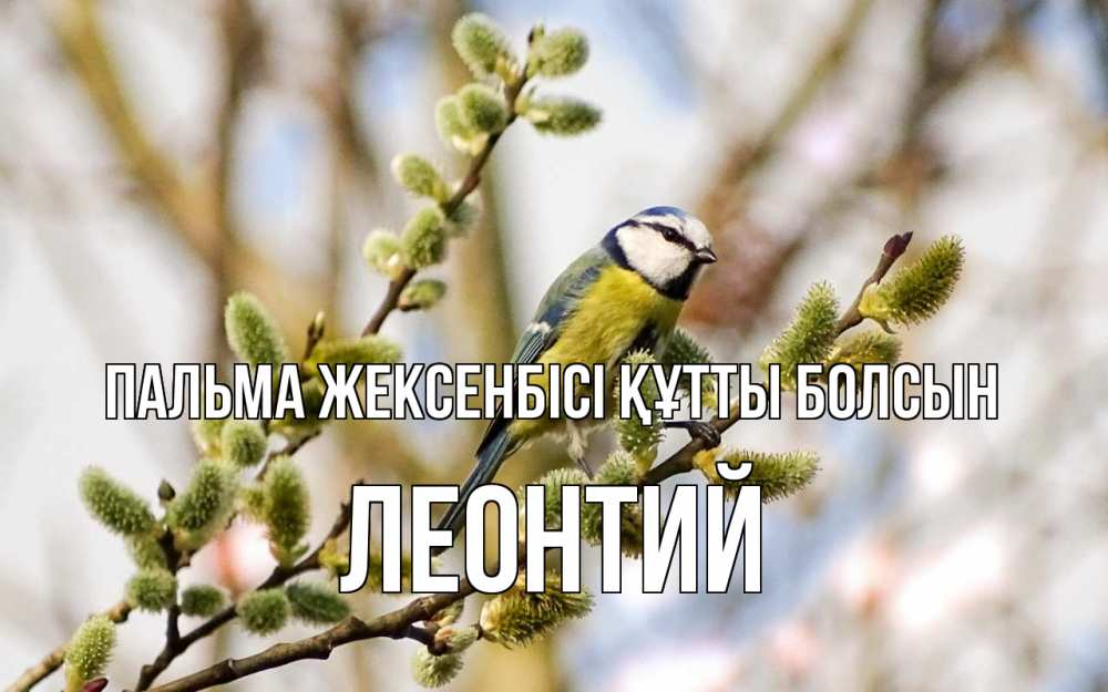 Күн сайын ашық хат с именем, Леонтий Пальма жексенбісі құтты болсын верба Онлайн тегін жүктеп алу тілектері бар керемет карта 