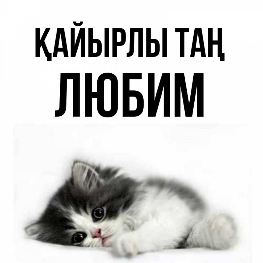 Күн сайын ашық хат с именем, Любим Қайырлы таң кот лапки Онлайн тегін жүктеп алу тілектері бар керемет карта 