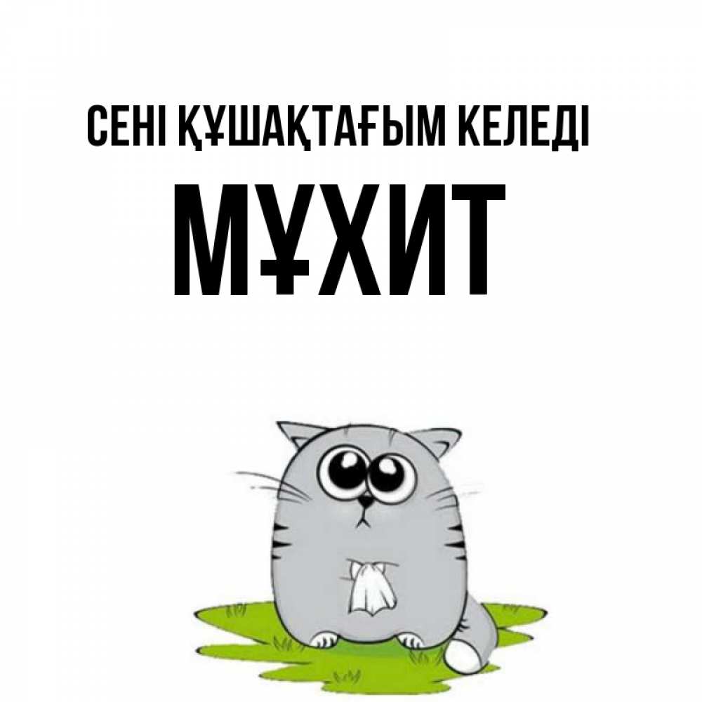 Күн сайын ашық хат с именем, МҰХИТ сені құшақтағым келеді котик теребит платочек сидя на травке Онлайн тегін жүктеп алу тілектері бар керемет карта 