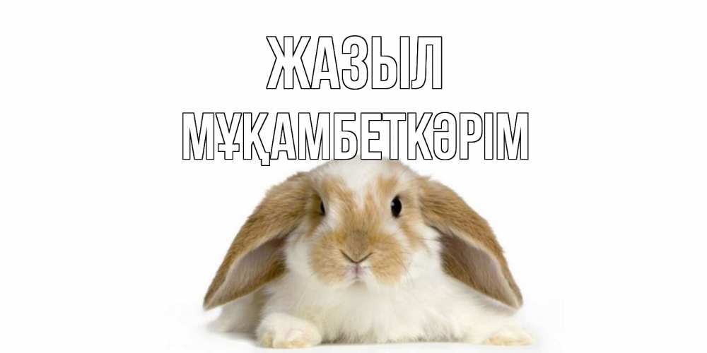 Күн сайын ашық хат с именем, Мұқамбеткәрім Жазыл вислоухий кролик белого и коричневого цвета Онлайн тегін жүктеп алу тілектері бар керемет карта 