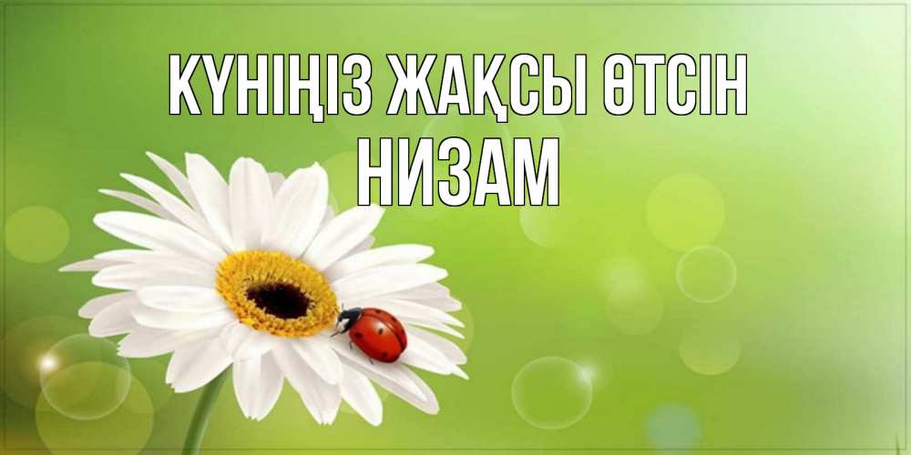 Күн сайын ашық хат с именем, НИЗАМ Күніңіз жақсы өтсін зеленый фон и ромашка Онлайн тегін жүктеп алу тілектері бар керемет карта 