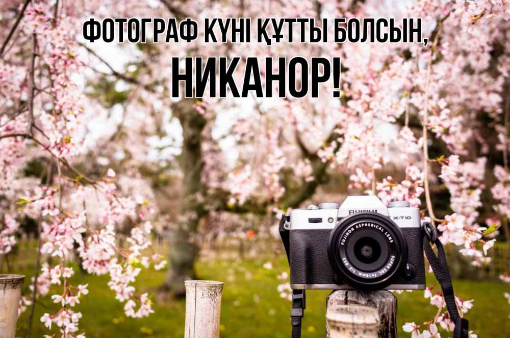 Күн сайын ашық хат с именем, Никанор Фотограф күні құтты болсын сирень с днем фотографа, фотоаппарат Онлайн тегін жүктеп алу тілектері бар керемет карта 