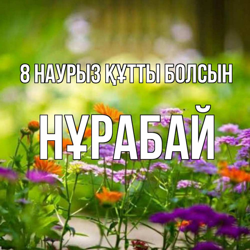 Күн сайын ашық хат с именем, НҰРАБАЙ 8 наурыз құтты болсын цветы Онлайн тегін жүктеп алу тілектері бар керемет карта 