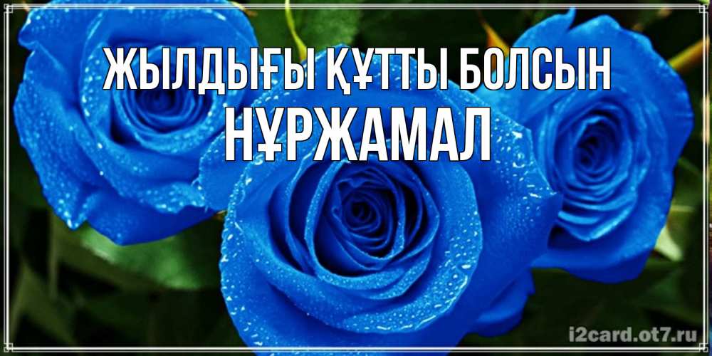 Күн сайын ашық хат с именем, НҰРЖАМАЛ Жылдығы құтты болсын розы с синим цветом Онлайн тегін жүктеп алу тілектері бар керемет карта 