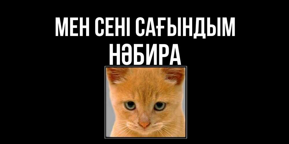 Күн сайын ашық хат с именем, НӘБИРА Мен сені сағындым открытки рыжий котенок скучает по тебе Онлайн тегін жүктеп алу тілектері бар керемет карта 