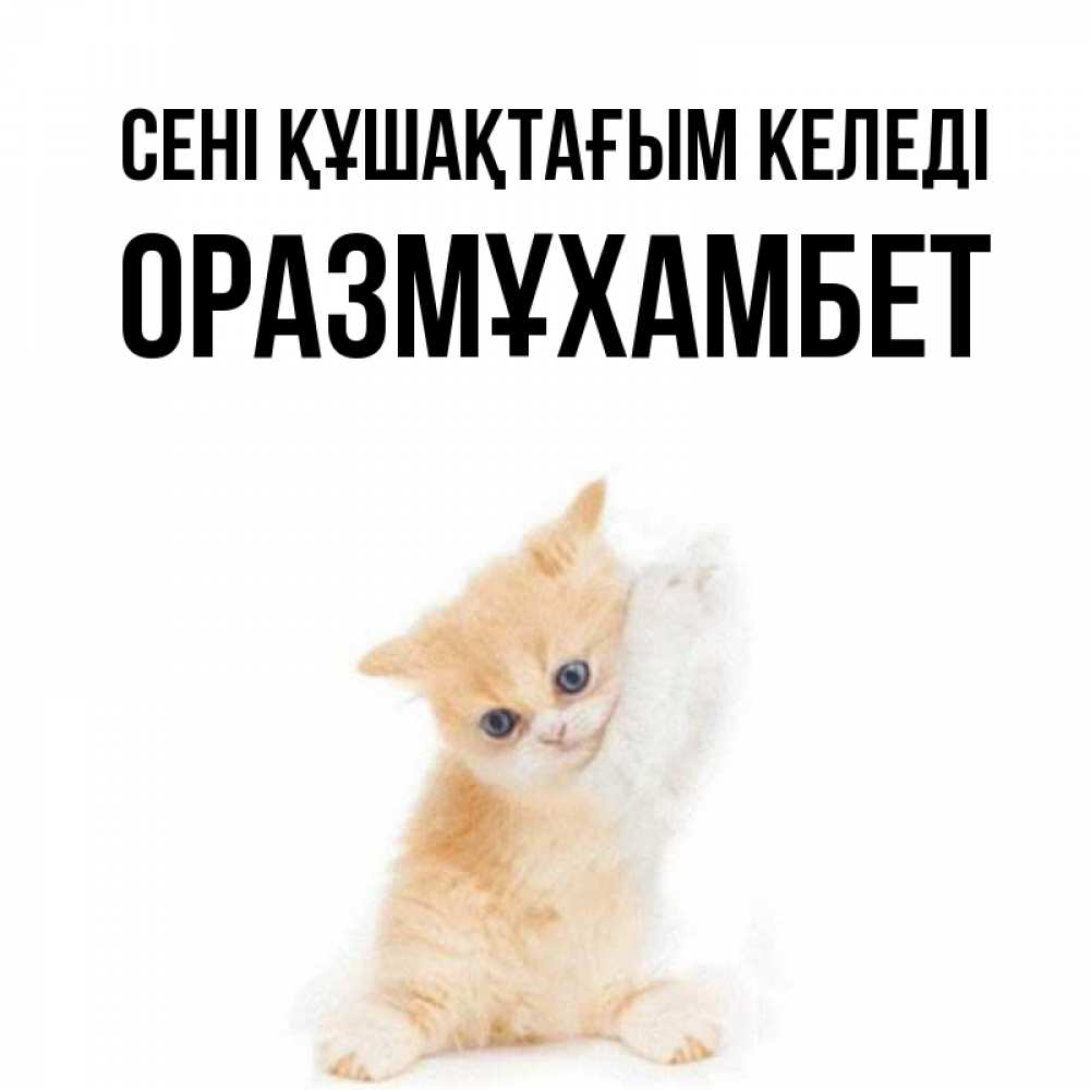 Күн сайын ашық хат с именем, ОРАЗМҰХАМБЕТ сені құшақтағым келеді я хочу очень скорее обнимаешек Онлайн тегін жүктеп алу тілектері бар керемет карта 