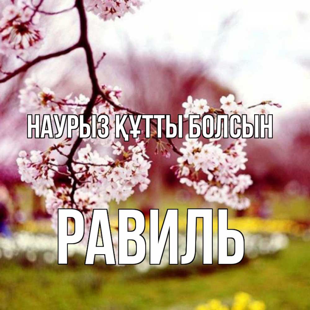 Күн сайын ашық хат с именем, Равиль Наурыз құтты болсын яблоня Онлайн тегін жүктеп алу тілектері бар керемет карта 