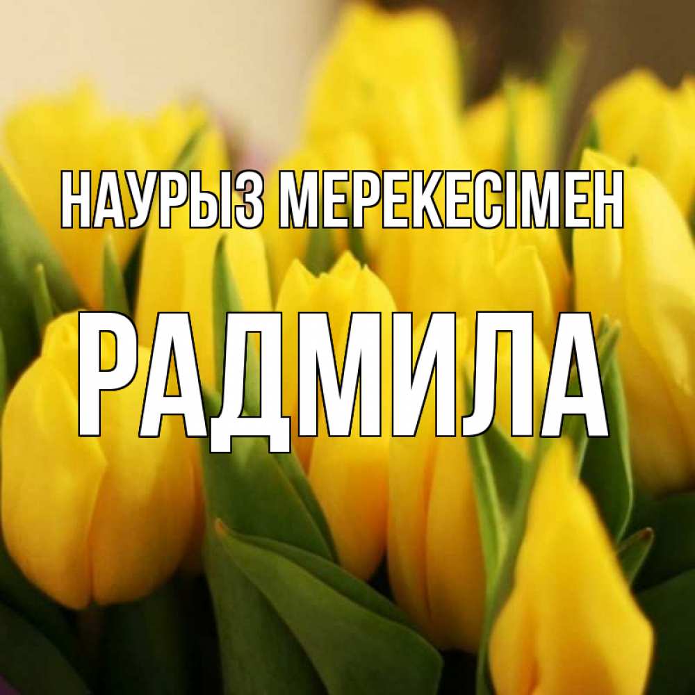 Күн сайын ашық хат с именем, Радмила Наурыз мерекесімен цветы Онлайн тегін жүктеп алу тілектері бар керемет карта 