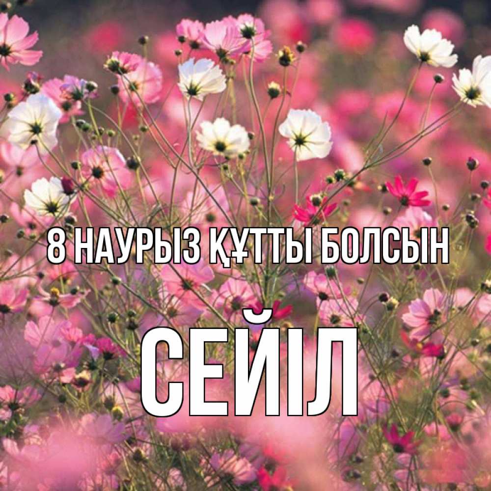 Күн сайын ашық хат с именем, СЕЙІЛ 8 наурыз құтты болсын красиво 1 Онлайн тегін жүктеп алу тілектері бар керемет карта 