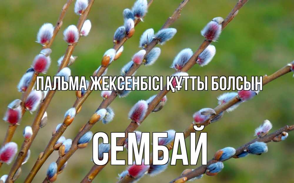 Күн сайын ашық хат с именем, СЕМБАЙ Пальма жексенбісі құтты болсын верба Онлайн тегін жүктеп алу тілектері бар керемет карта 