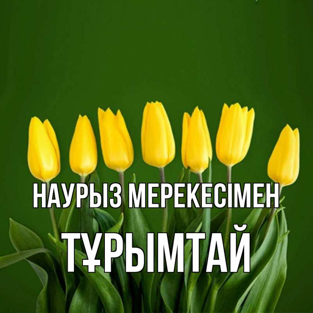 Күн сайын ашық хат с именем, ТҰРЫМТАЙ Наурыз мерекесімен желтого цвета 3 Онлайн тегін жүктеп алу тілектері бар керемет карта 