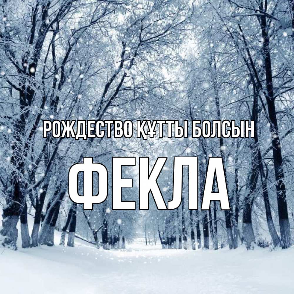 Күн сайын ашық хат с именем, Фекла Рождество құтты болсын снег, лес, парк Онлайн тегін жүктеп алу тілектері бар керемет карта 