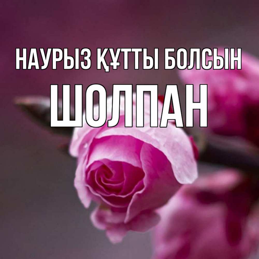 Күн сайын ашық хат с именем, ШОЛПАН Наурыз құтты болсын весна Онлайн тегін жүктеп алу тілектері бар керемет карта 