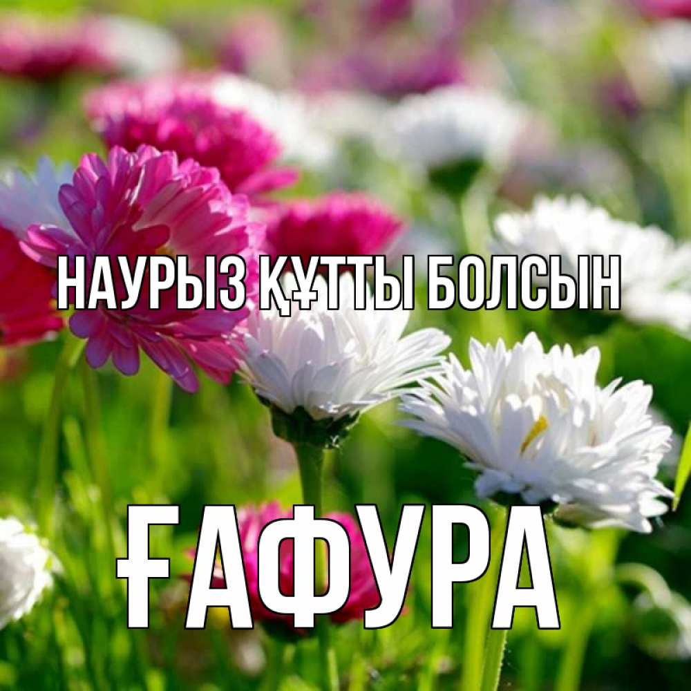 Күн сайын ашық хат с именем, ҒАФУРА Наурыз құтты болсын наурыз Онлайн тегін жүктеп алу тілектері бар керемет карта 