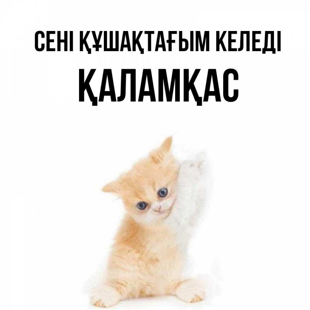 Күн сайын ашық хат с именем, ҚАЛАМҚАС сені құшақтағым келеді я хочу очень скорее обнимаешек Онлайн тегін жүктеп алу тілектері бар керемет карта 