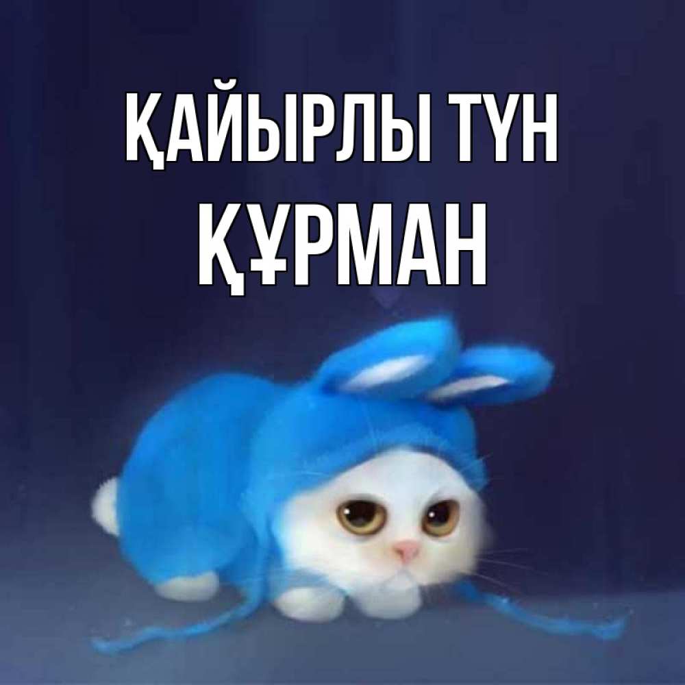Күн сайын ашық хат с именем, ҚҰРМАН Қайырлы түн кот в голубом костюме кролика с ушками Онлайн тегін жүктеп алу тілектері бар керемет карта 