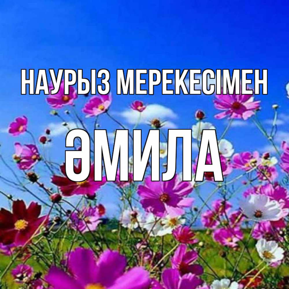Күн сайын ашық хат с именем, ӘМИЛА Наурыз мерекесімен цветы Онлайн тегін жүктеп алу тілектері бар керемет карта 