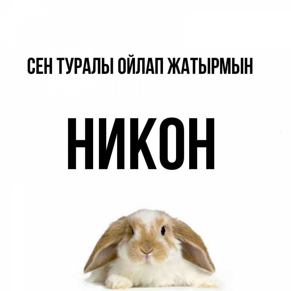 Күн сайын ашық хат с именем, Никон Сен туралы ойлап жатырмын подписать своими руками онлайн Онлайн тегін жүктеп алу тілектері бар керемет карта 