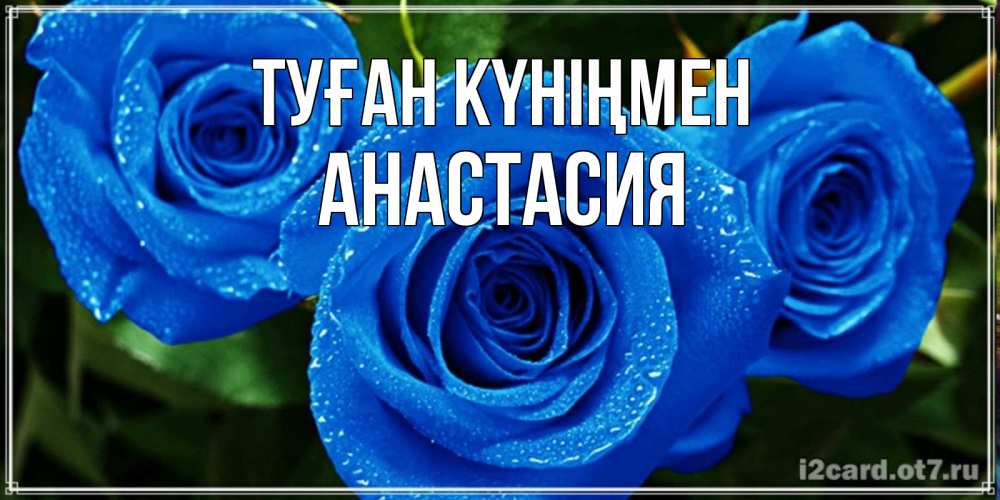 Күн сайын ашық хат с именем, Анастасия Туған күніңмен розы с синим цветом Онлайн тегін жүктеп алу тілектері бар керемет карта 