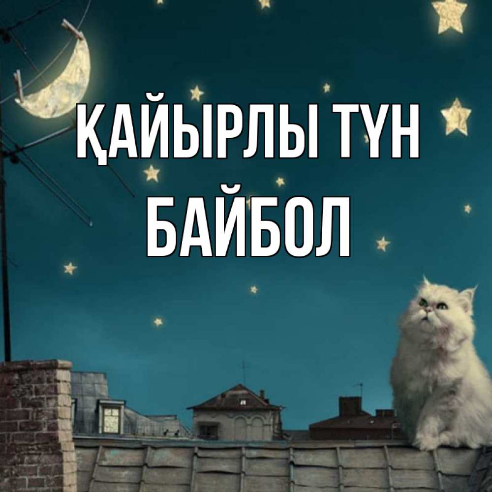 Күн сайын ашық хат с именем, Байбол Қайырлы түн белый кот сидит на крыше Онлайн тегін жүктеп алу тілектері бар керемет карта 