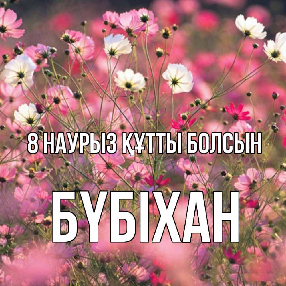 Күн сайын ашық хат с именем, БҮБІХАН 8 наурыз құтты болсын красиво 1 Онлайн тегін жүктеп алу тілектері бар керемет карта 