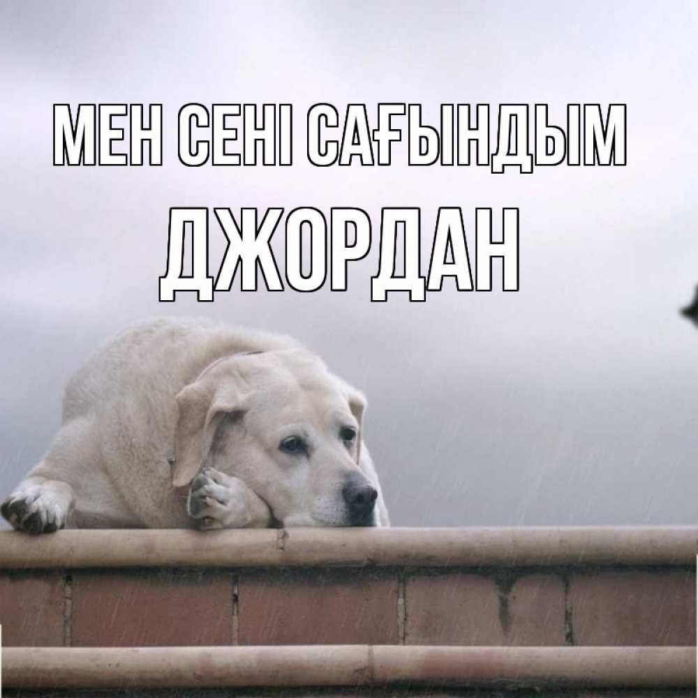 Күн сайын ашық хат с именем, Джордан Мен сені сағындым ждет Онлайн тегін жүктеп алу тілектері бар керемет карта 