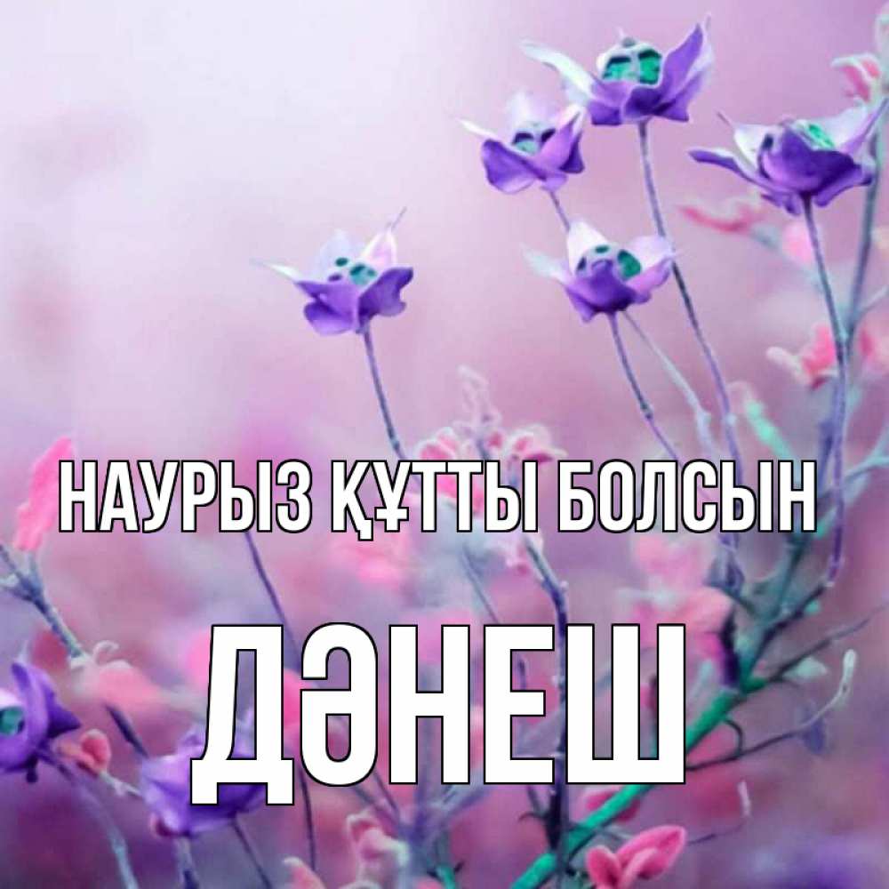 Күн сайын ашық хат с именем, ДӘНЕШ Наурыз құтты болсын наурыз  2 Онлайн тегін жүктеп алу тілектері бар керемет карта 