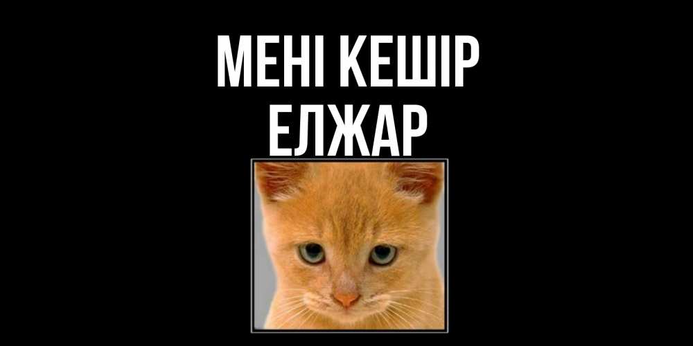 Күн сайын ашық хат с именем, Елжар Мені кешір рыжий грустный кот просит прощения Онлайн тегін жүктеп алу тілектері бар керемет карта 