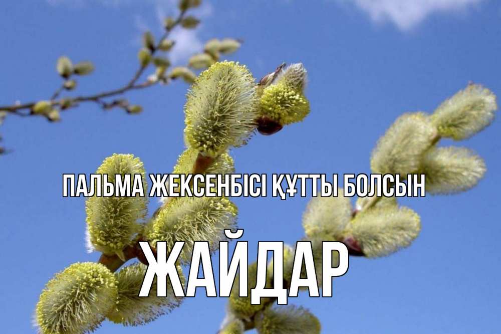 Күн сайын ашық хат с именем, Жайдар Пальма жексенбісі құтты болсын верба Онлайн тегін жүктеп алу тілектері бар керемет карта 