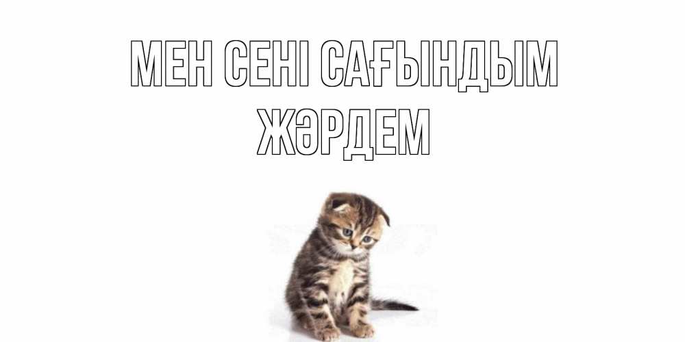 Күн сайын ашық хат с именем, Жәрдем Мен сені сағындым кот Онлайн тегін жүктеп алу тілектері бар керемет карта 