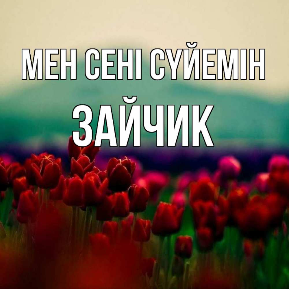 Күн сайын ашық хат с именем, Зайчик Мен сені сүйемін тюльпаны 4 Онлайн тегін жүктеп алу тілектері бар керемет карта 