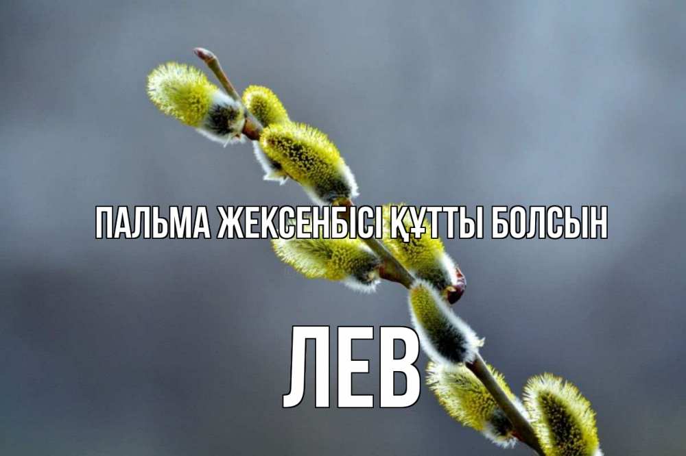 Күн сайын ашық хат с именем, Лев Пальма жексенбісі құтты болсын верба Онлайн тегін жүктеп алу тілектері бар керемет карта 