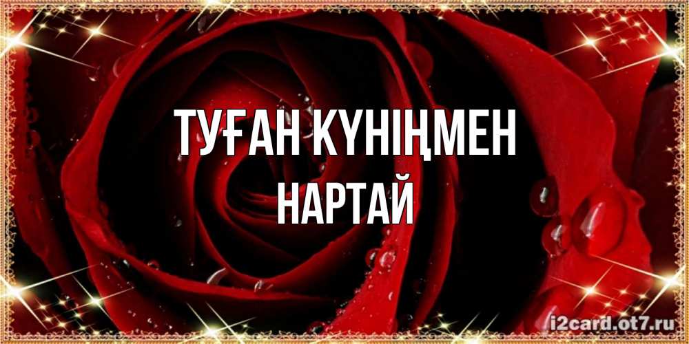 Күн сайын ашық хат с именем, Нартай Туған күніңмен цветок в росе на день рождения Онлайн тегін жүктеп алу тілектері бар керемет карта 