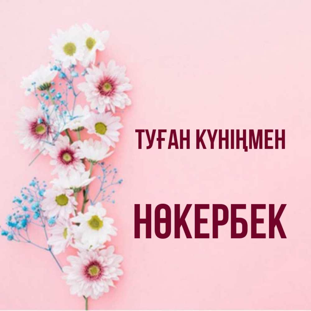 Күн сайын ашық хат с именем, НӨКЕРБЕК Туған күніңмен Родная моя с днем рождения тебя картинка с цветами белыми и голубыми Онлайн тегін жүктеп алу тілектері бар керемет карта 