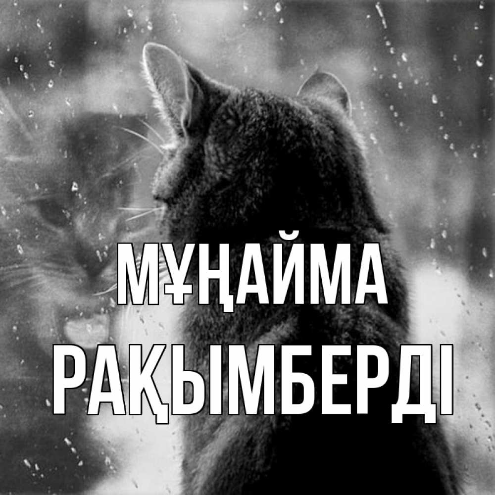 Күн сайын ашық хат с именем, Рақымберді Мұңайма отражение кота 1 Онлайн тегін жүктеп алу тілектері бар керемет карта 