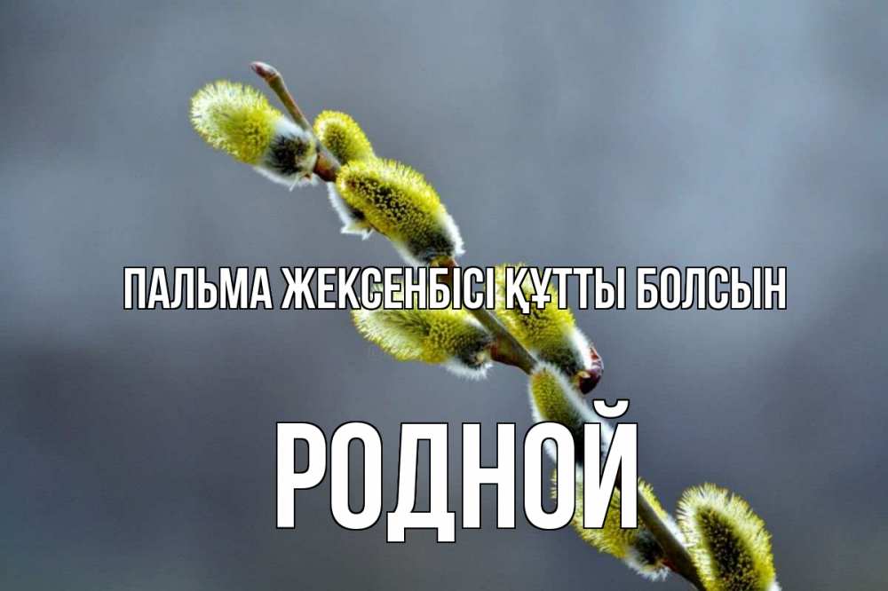 Күн сайын ашық хат с именем, Родной Пальма жексенбісі құтты болсын верба Онлайн тегін жүктеп алу тілектері бар керемет карта 