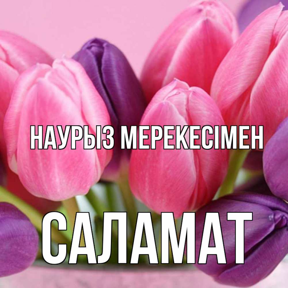 Күн сайын ашық хат с именем, САЛАМАТ Наурыз мерекесімен маме 1 Онлайн тегін жүктеп алу тілектері бар керемет карта 